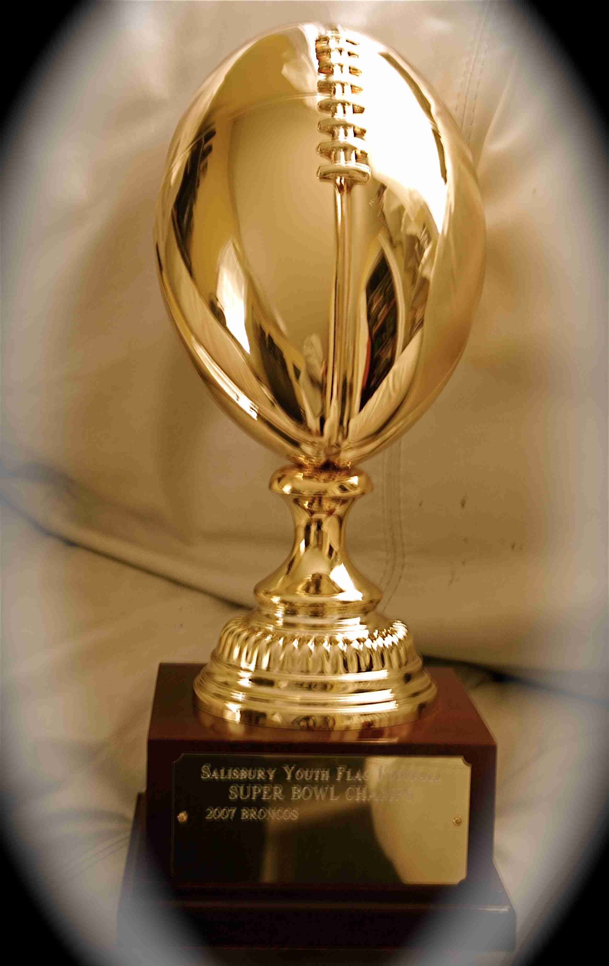Super bowl trophy