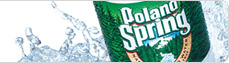 PS Logo (Bottle)