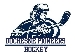 New Pioneer Logo 2