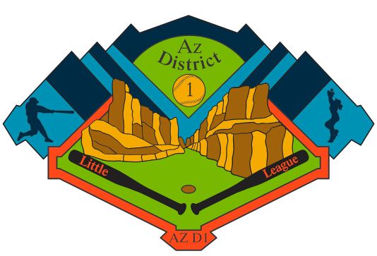 2011 pin