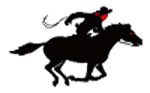 BANDITS LOGO