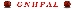 GNHPBALLogo