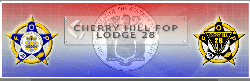 FOP28 Logo