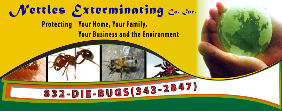 Nettles Exterminating