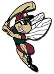 SandGnats