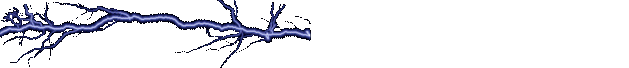 electricity
