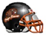 beavers