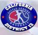 District 13 logo
