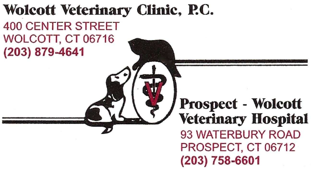 vet