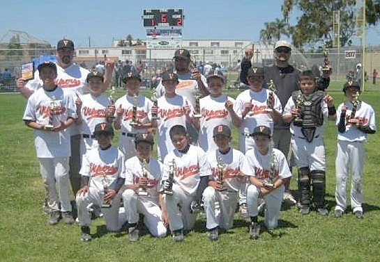 Vipers 11U Memorial Day Champs