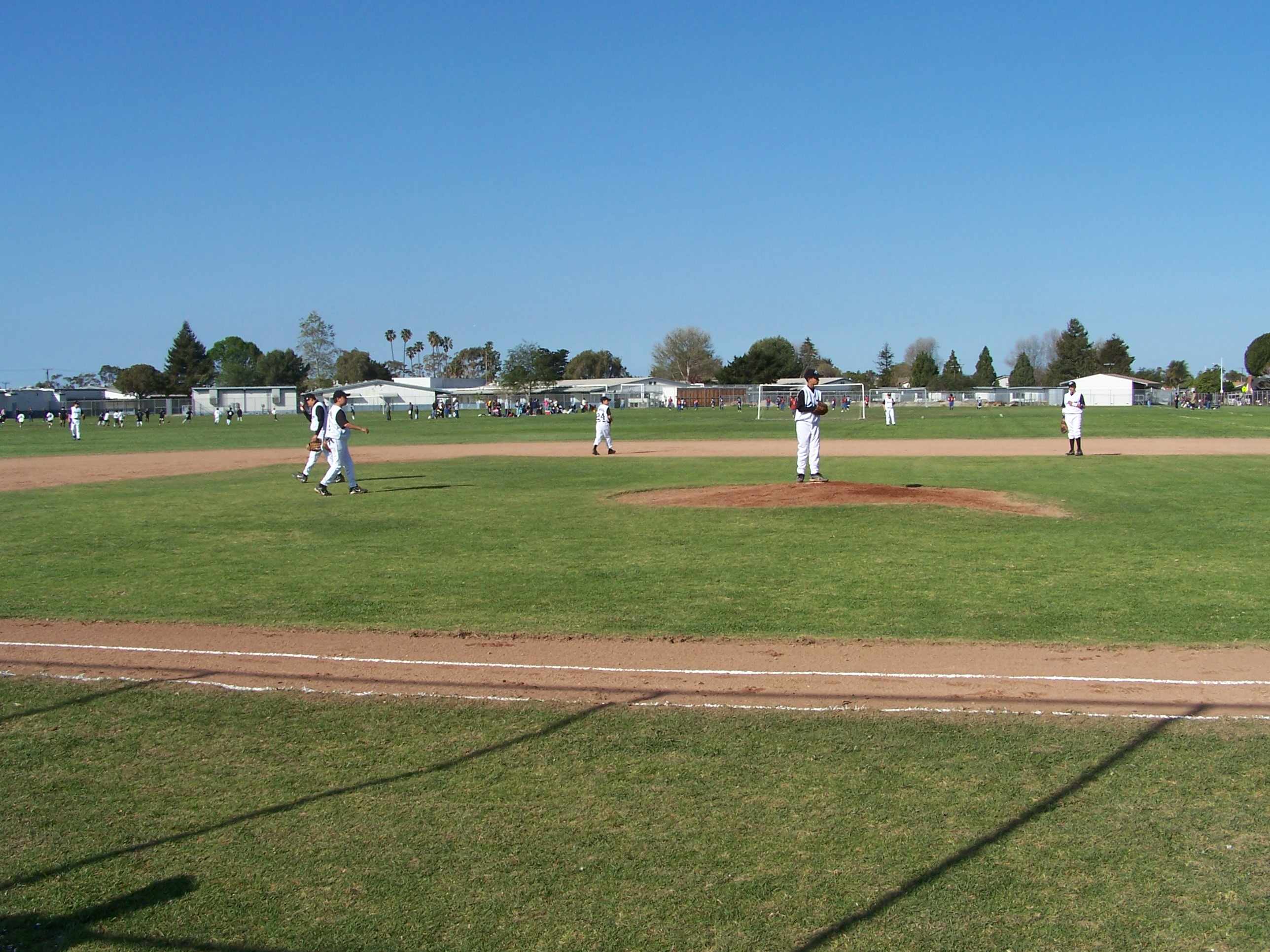 Pony Field