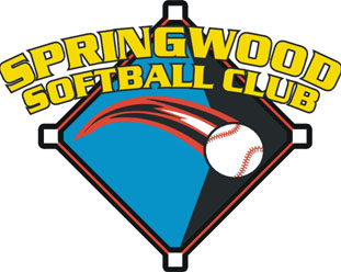 springer logo