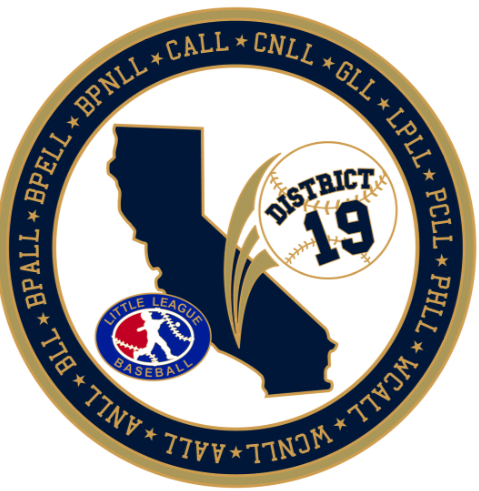 Dist 19 Pin Logo