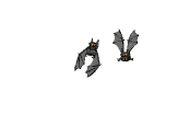 bats flying