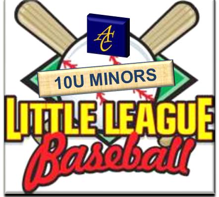 10U Minors Logo