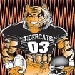 tigercat