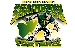 Shamrock Football Logo