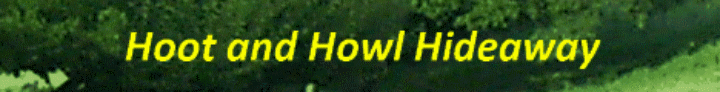 hoot_howl