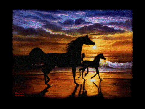 horses.gif