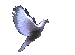 dove