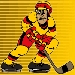 amateurhockeylogo.gif