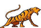 image_name3