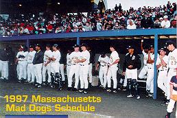mad dogs pic