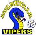 Viper Logo Final.jpg