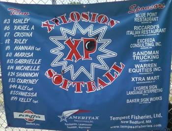 banner2011