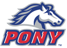 pony