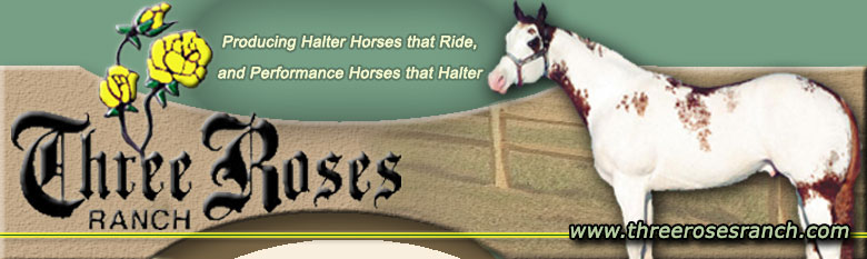 3 Roses Ranch