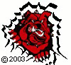 Servicemark SWAPW 2003