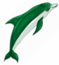 Dolphin Leap Right