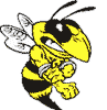 EA Yellowjacket