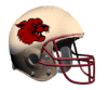 NE Cougars