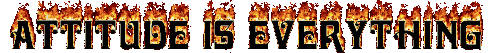 Attitude FLaming