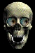 halloweenskull1