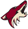 Phoenix Coyotes