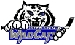 Dallastown CPIHL 