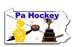 PA Hockey