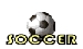 soccerwh.gif