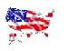 States Flag