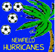 Hurricanes Blue Logo