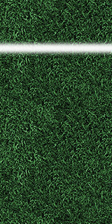 turf