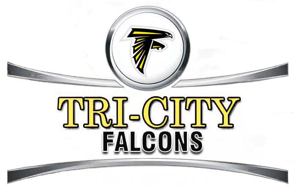 2008 TCF Logo