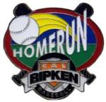 Homerun Pin