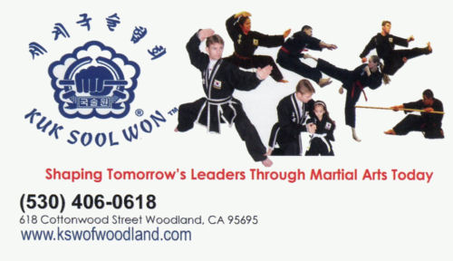Kuk Sool Won 500w.jpg