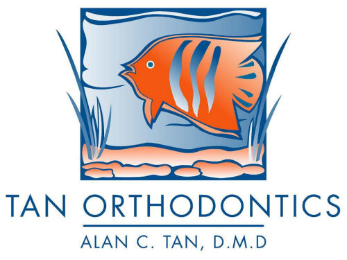 Tan Ortho.jpg