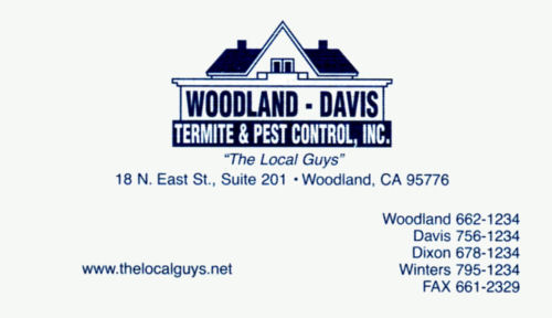 Woodland Davis Termite 500w.jpg