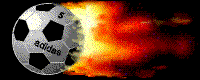 burnball.gif.gif